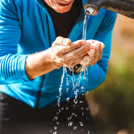 特劳贝酒店 3* 弗利斯