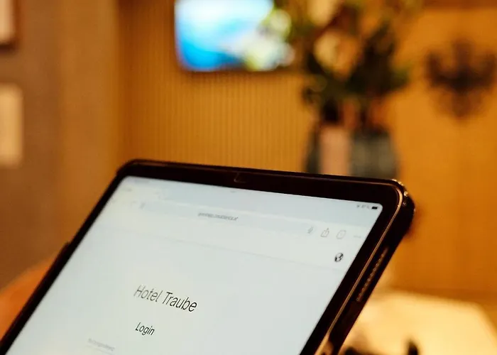 特劳贝酒店 弗利斯