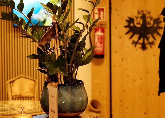 特劳贝酒店 酒店 3*