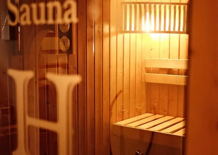 特劳贝酒店 3* 弗利斯