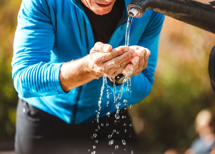 特劳贝酒店 3* 弗利斯