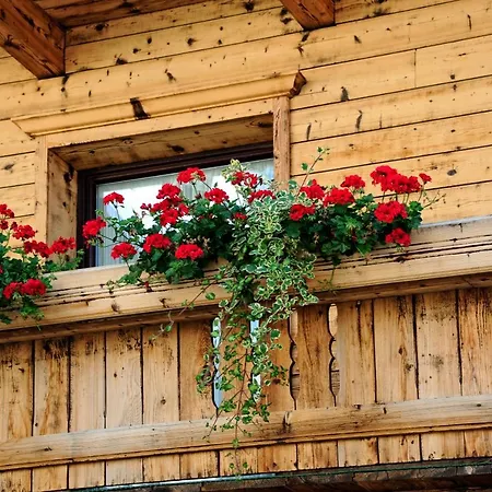 Traube Hotel